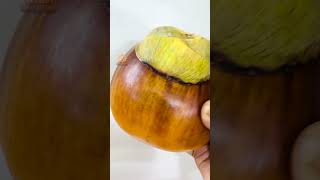 Thati Pandu Recipes | Ripe Palm Fruit Recipes #andrastyle