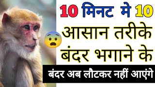 बंदर भगाने के 10 आसान तरीके | बंदर कैसे भगाएं | बंदरों को भगाने का इलाज | फ्री में भगाएं बंदर 😲💯