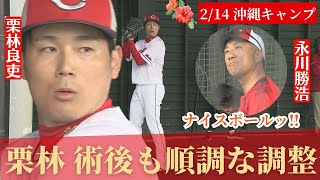 【沖縄キャンプ2日目】栗林良吏が順調な調整！永川コーチも笑顔！河野\u0026ドミンゲスもブルペンへ！ 【球団認定】カープ全力応援チャンネル