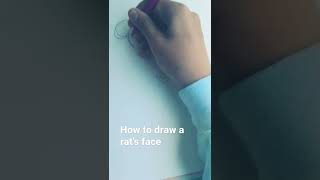 How to draw a rat's face