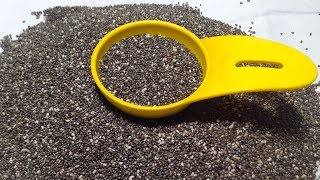 চিয়া বীজ কি | Chia seeds Health benefits \u0026 Nutrition Source for Weight Loss in Bengali