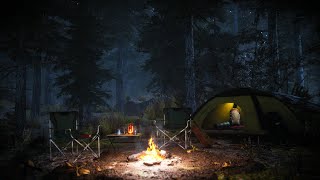 Campfire Ambience at the Forest at Night with Animals Sounds such as Owls and Crickets for Relax