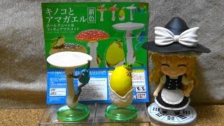 ネイチャーテクニカラー MONO PLUS キノコとアマガエル 新色 NATURE TECHNI COLOUR MONO PLUS Mushrooms and Tree Frog　紹介