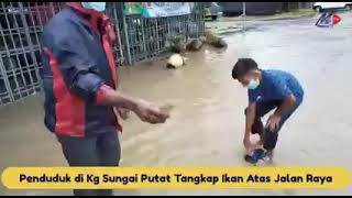 Penduduk di Kg Sungai Putat Tangkap Ikan Atas Jalan Raya