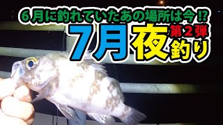 6月に釣れていた場所は!?香川県夜釣り第２弾!!アジングロッドで攻めます！【50まい】