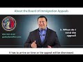 board of immigration appeals bia explained 4 key questions answered