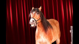 Comedy Horse - Spindler Family- Weihnachtscircus Berolina 24/25