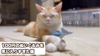 猫にまたたび入りのけりぐるみを与えたら気に入りすぎちゃいました