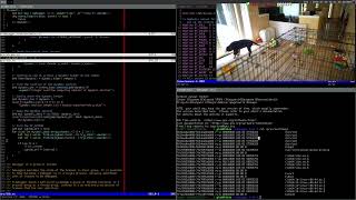 Writing a Linux debugger