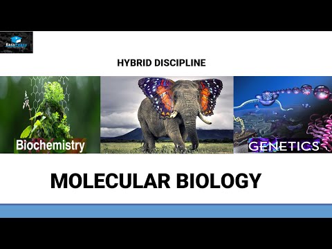 Introduction To Molecular Biology - YouTube