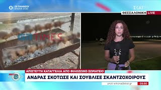 Απίστευτη καταγγελία: Άνδρας σκότωσε και σούβλισε σκαντζόχοιρους | Πρώτη Εικόνα | 19/09/2023