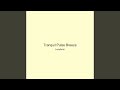 Tranquil Pulse Breeze