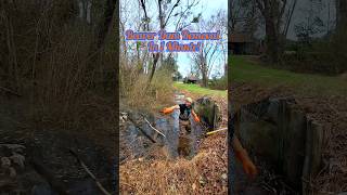 Unclogging Culvert At MLK Crossing! || Beaver Dam Removal In 1 Minute! #shorts