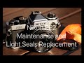 ニコンFE2 ファインダー清掃とモルト交換 / Nikon FE2 Maintenance and Light Seals Replacement