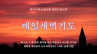 천안드림교회 241211 엡5장 - 음행 탐욕 주의, 남편과 아내 의무 - 빛으로 사는 삶