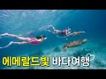 물 색깔 미쳤다..여기 천국인가요??🥹💙l 셈포르나 프리다이빙 여행 ep 2 l Underwater Freediving travel vlog in Malaysia(ENG)