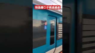 【最高すぎるジョイント音】特急踊り子 戸塚駅高速通過 #高速通過 #鉄道 #shorts