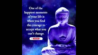 Buddha | buddha quotes on life #positivequotes#shorts #youtubeshorts #quotes #buddhaquotes#wisdom