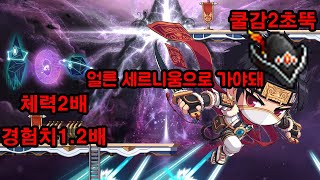 메이플스토리 리멘 세계가 끝나는 곳 1-7, 2-6 듀블 빌드