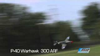 P-40 Warhawk 300 ARF by E-flite