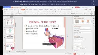 NGOẠI NGỮ 1 - CARDIOVASCULAR SYSTEM P1 (3/3/2021)