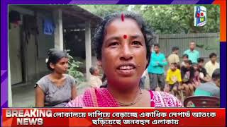 লোকালয়ে দাপিয়ে বেড়াচ্ছে লেপার্ড আতঙ্ক এলাকার বাসিন্দাদের মধ্যে