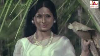 Rappadi Padunna Ragangalil | Malayalam Movie Song | Vishukkani | Vidhubala | Prem Nazir |