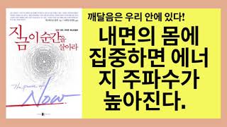 지금 이 순간을 살아라(에크하르트 톨레)- 최대한 내면의 몸에 계속 집중한다면 '지금'에 닻을 내리게 되고 외부세계속에서 자신을 잃어버리지 않을 것입니다.