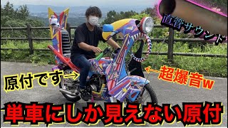 単車にしか見えない『原付』直管サウンドが超爆音すぎたw