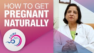 Steps To Get Pregnant Naturally | जल्दी प्रेग्नेंट कैसे? | Prime IVF | Best IVF Hospital in Gurgaon