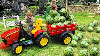 Farmer Bim Bim harvests watermelons and obediently takes care of you