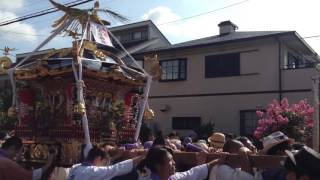 平成28年 茅ヶ崎市 菱沼 八王子神社 例大祭 神輿渡御②