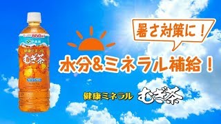 暑さ対策に！水分＆ミネラル補給！｜健康ミネラルむぎ茶｜伊藤園