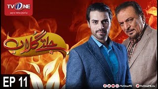 Jaltay Gulab | Episode 11 | TV One Classics | 20th November 2017