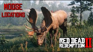 RDR2 Moose Locations + Tips for Perfect Moose Pelt