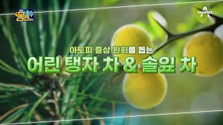 물도 그냥 마시지 않는다? 솔잎과 어린 탱자 차로 아토피 증상을 완화시키다! | 나는 몸신이다 359 회