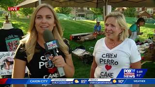 Emily Roehler: Woofstock Interview