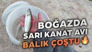 BOĞAZDA SARIKANAT AVI BALIK ÇOŞTU ☺