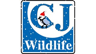 Merry Christmas from CJ Wildlife and Vivara