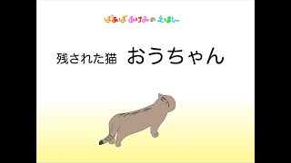 ばあばあけみの絵本ー残された猫 おうちゃん