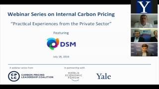 Internal Carbon Pricing: Featuring DSM