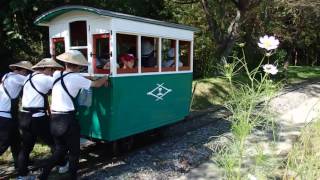 【コスモス祭り】松山人車軌道 Matsuyama Handcar Tramway