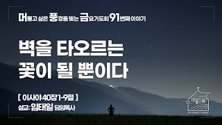 [ 서강교회 ] 2023-12-15 머풍금 91번째 이야기 | 벽을 타오르는 꽃이 될 뿐이다 | 임태일 담임목사