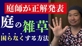 【春に始める】雑草を無くして快適なお庭にする方法【５つの話を解説】