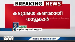 കണ്ണൂർ കണിച്ചാറിൽ വീണ്ടും കടുവയെ കണ്ടതായി നാട്ടുകാർ | Tiger spotted at Kannur Kanichar |