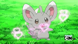 Emolga and Minccino use Attract on each other! Pokémon Black \u0026 White