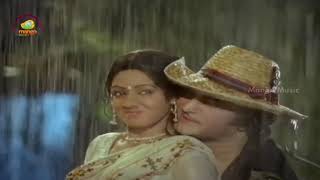 NTR & Sridevi Hit Songs |Aaku Chaatu Video Song | Vetagadu Movie Songs| NTR| Sridevi|Raghavendra