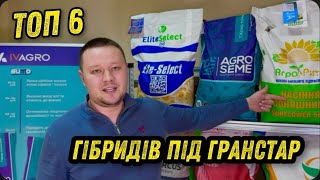 Обираємо соняшник: 6 перевірених гібридів під Гранстар