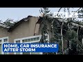 Navigating insurance when a tree falls on house, car