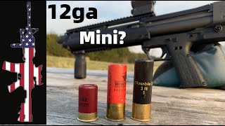 12 Gauge Mini Shells (Review) - ULTIMATE Self/Home Defense?